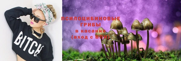 меф Снежногорск