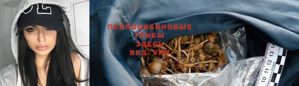 СК Балахна