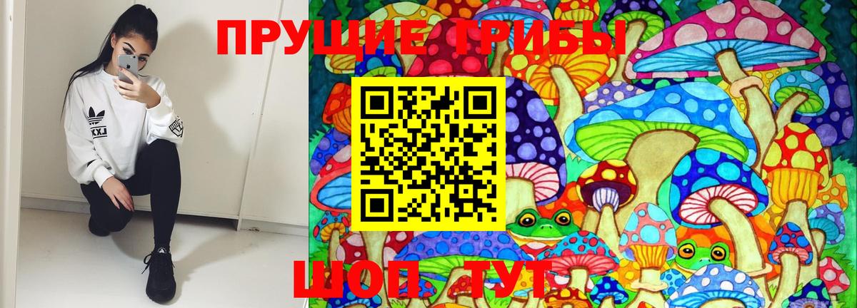 наркота  Галлюциногенные грибы прущие грибы  Вход с VPN  Пятигорск 
