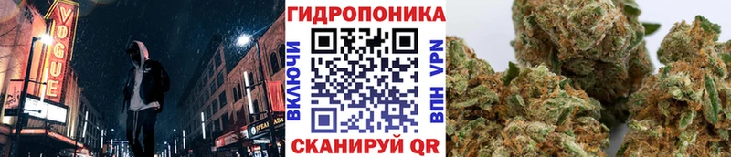 Шишки марихуана MAZAR Пятигорск