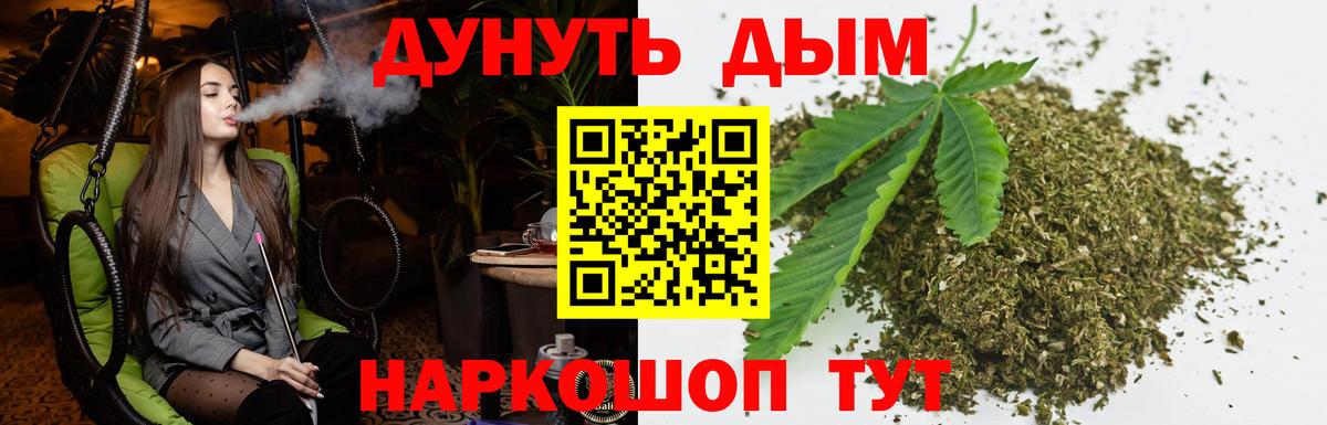 Пятигорск  Каннабис индика  Вход с VPN  Конопля Bruce Banner  Каннабис планчик 
