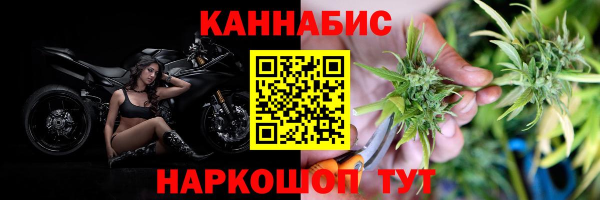 МАРИХУАНА конопля Пятигорск